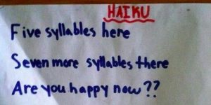 important rules to follow the haiku poems